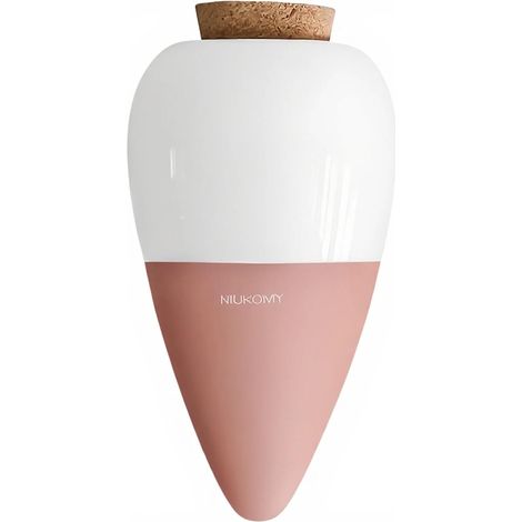 Arrosage Plante Terre Cuite avec Bouchon, 300 ML Blanc Distributeur d'eau pour plantes en argile, cône d’arrosage, boules d'irrigation, pour vacances, balcon, bureau (1/5)
