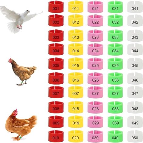 Packung mit 100 Beinringen für Geflügel – Mehrfarbig – Beinkennzeichnung – Nummerierter Clip für Geflügel – Für Hühner, Puten, Enten, Gänse, 5 Farben