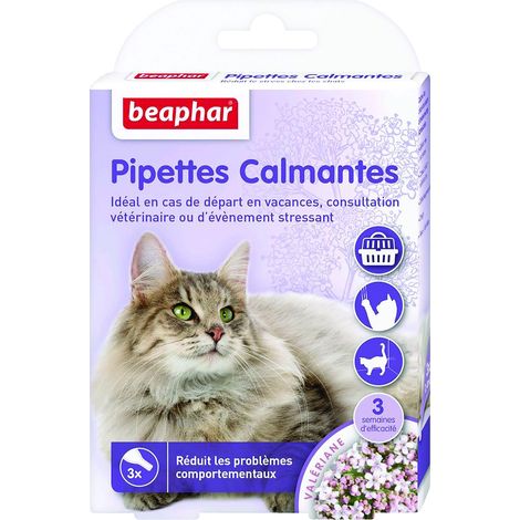 Pipettes calmantes pour chat