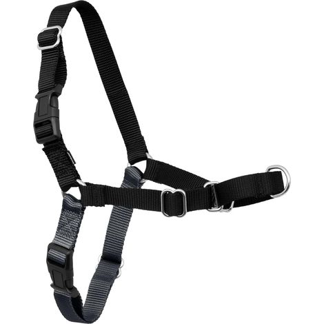 Harnais anti-traction pour chien Le harnais ultime pour aider à arrêter de tirer Prenez le contrôle et enseignez de meilleures manières de la laisse (1/5)