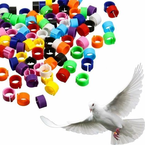 300 Pièces 8 mm Jambe d'Anneau d'Oiseau Bague de Pied de Pigeon Multicolores en Plastique Clip sur les Anneaux de Jambe，Couleur aléatoire, Ensoleillé