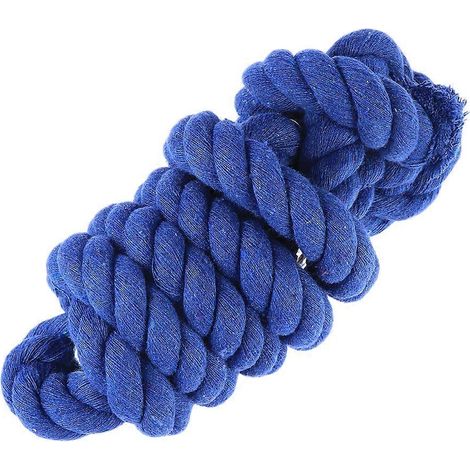 Laisse robuste en coton de 2 mètres pour cheval ou poney, avec mousqueton à déclenchement (bleu royal) (1/5)