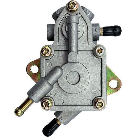 Professional fuel pump D300/H300/G300 – 260 cc and 300 cc, robust, for rapid fuel transfer (1/2)