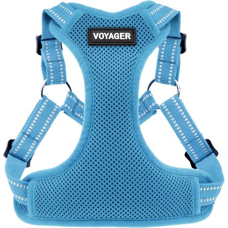 Voyager Verstellbares Hundegeschirr mit Reflektorstreifen by Best Pet Supplies - Strapazierfähige Ganzkörperweste ohne Zugkraft mit Leinen-D-Ring, atmungsaktiv, Babyblau, size XS