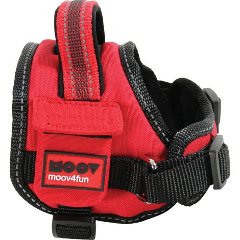 Harnais confort Moov Rouge Taille : XS