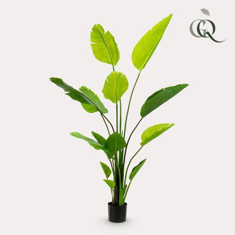 Strelitzia Nicolai Plante Artificielle Oiseau de Paradis Grandes Feuilles Vert 150 cm - PANGIVO (1/5)