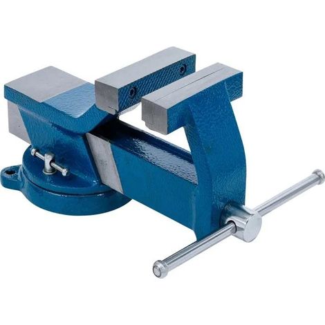 Morsa bgs serie professionale acciaio apertura 110 mm