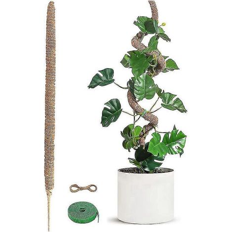 Lot de 2 tuteurs en mousse flexibles, idéaux pour offrir aux amoureux des plantes, renforcés par une structure en coque de noix de coco de haute qualité. (1/5)