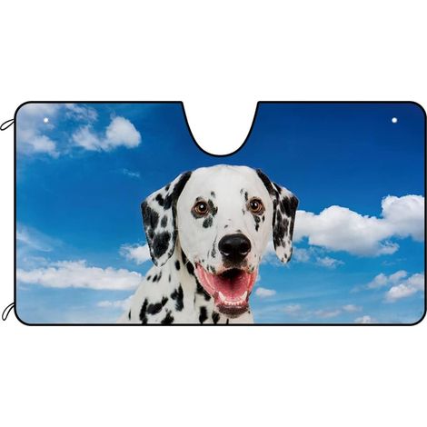 Pare-soleil pour pare-brise de voiture chiens Jack Russell (1/5)