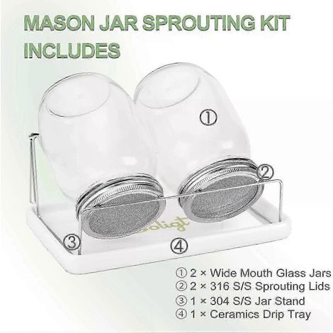 Filiyano – Kit complet de germination en bocaux Mason, comprenant 2 bocaux d'un litre avec couvercles et un support en acier inoxydable 316. (1/4)