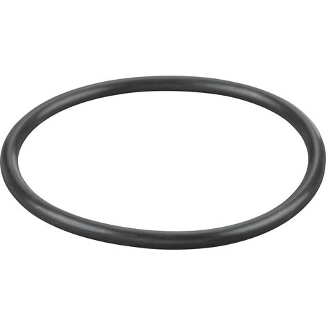 Rems O-Ring 060197