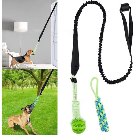 Balle de tir à la corde pour chiens (1/4)