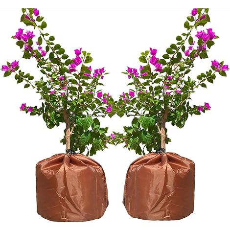 Winterliche Blumentopfabdeckung, 2 Stück XXL 70x65 cm, wasserdicht (1/3)