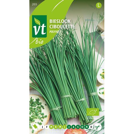Bio Ciboulette Fine Polyvit - Ca. 0,75 gr (Livraison Gratuite) (1/2)