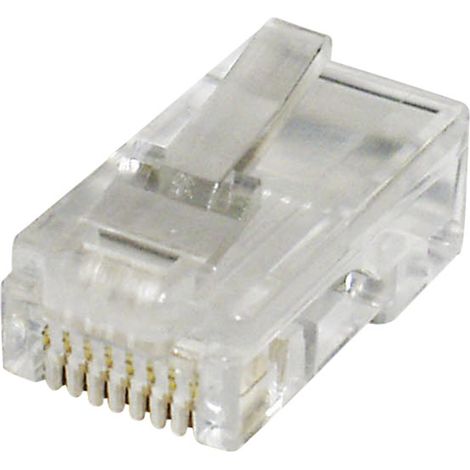 Fiche modulaire mâle econ connect MPL88 RJ45 mâle, droit Pôle: 8 transparent(e) 1 pc(s)