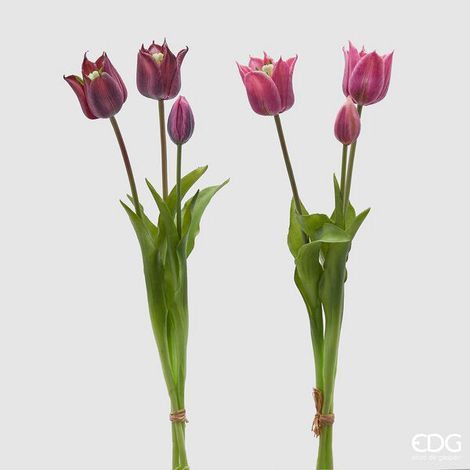 EDG Enzo De Gasperi Tulipano Gommato Olis 3 Rami H 48 Cm Lilla o Malva 1 Cf