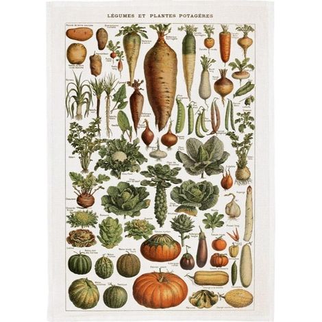 Strofinaccio da cucina - Verdure