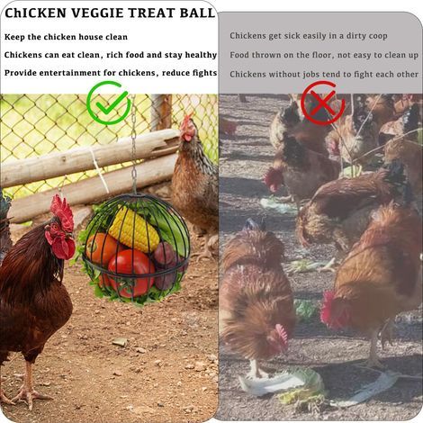 Mangeoire suspendue pour poules - Boule à friandises en fer de 18 cm pour poules et légumes - Support robuste avec chaîne de suspension de 40 cm - Noir (1/5)