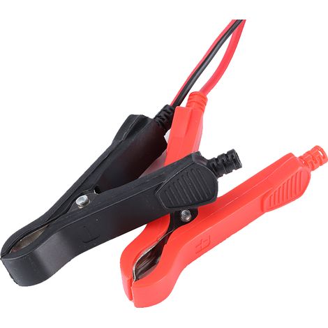 Chargeur de batterie à impulsions 12 V 6 A pour voitures et motos (prise à large plage de tension 100-240 V), norme australienne (1/5)