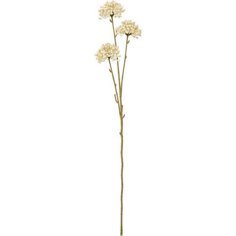 Allium Spray (Single Stem Flower) - Plastic - Height 60 cm - Cream