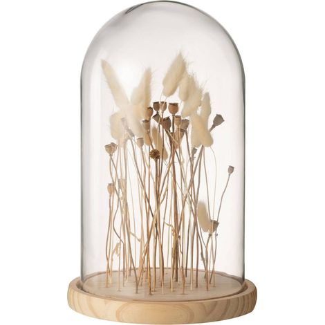 Dome botanique Maynard en Verre - Transparent, Naturel (1/4)