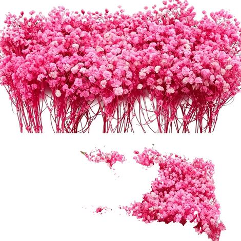Flores secas preservadas, estética natural, decoración de interiores versátil, B (1/2)
