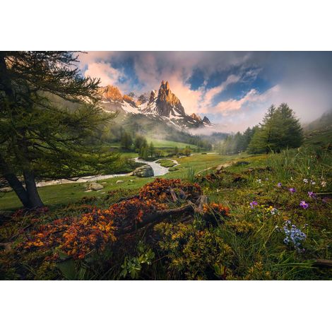 papier peint panoramique paysage boisé vert - Komar (1/2)