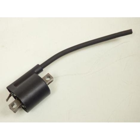 [PRODUIT D'OCCASION] Bobine d'allumage HT origine pour scooter Aprilia 50 SR 1997-2001 (1/2)