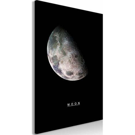 Tableau lune verticale - 60 x 90 cm