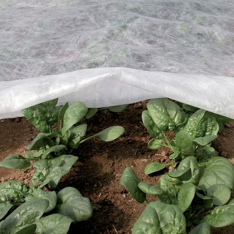 Telo invernale bianco per piante e colture, 2,50 x 10 m, in tessuto non tessuto da 30 g/m², protegge piante, fiori e ortaggi da freddo, gelo e vento (1/4)