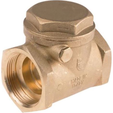 Clapet antiretour en Laiton RS PRO BSPP 1-1/2" ( Prix pour 1 ) (1/2)