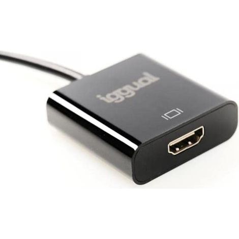 iggual - DisplayPort auf HDMI Adapter mit Cable of 25 cm DP (Male) auf HDMI (Female) Konverter - Farbe Schwarz