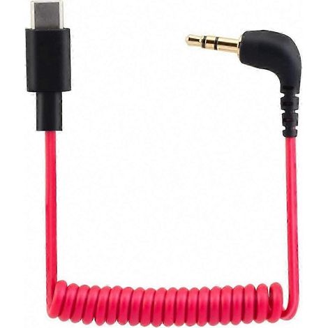 Câble audio USB-C vers 3,5 mm pour microphone Rode Wireless Go II (1/5)