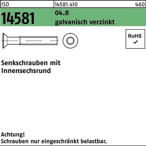 Vis à tête fraisée ISO 14581 ISR M5x8 T25 04.8 galv. 2000p.