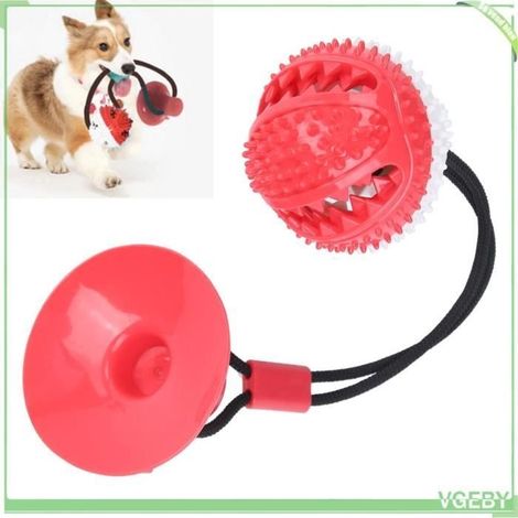 Jouet à mordre molaire pour animal de compagnie, jouet à ventouse pour chien, aide à nettoyer les dents/pour traîner et mâcher (1/4)