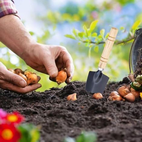 CSPARKV Lot de 3 Outils de Jardinage Mini Petite Pelle Rateau et Bêche Manche en Bois Ensemble Outils Jardinage pour Planter Fleurs, Repiquer, Ameublir Sol (1/2)