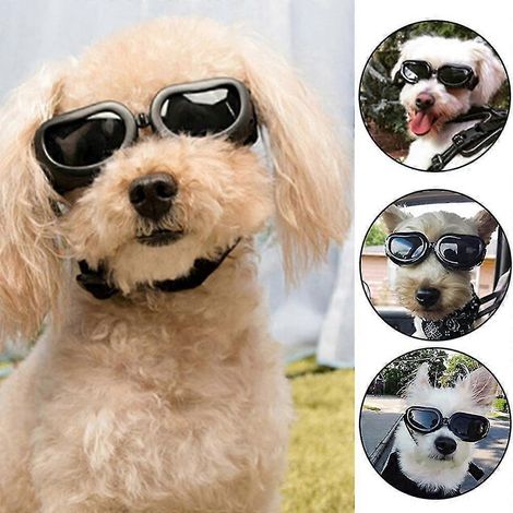 Lunettes de soleil pour animaux de compagnie (chats et petits chiens), coupe-vent, protection UV, pour chiots