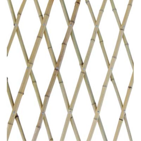 Traliccio canna bamboo mm 16/18 cm 90x180 (5 pezzi) Domus