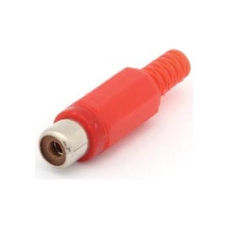 FICHE RCA FEMELLE - ROUGE CA054R RI782
