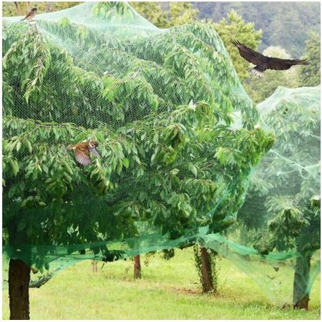 Filet anti-oiseaux 4m x 15m, filet de protection de jardin, convient aux cerisiers, vignes et pommiers, maille de 15 mm, vert. (1/3)