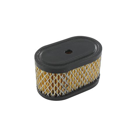 Filtro Air BRIGGS et STRATTON 494586 - 497725