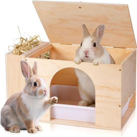 Râtelier à foin et maison 2 en 1 pour lapin (1/5)