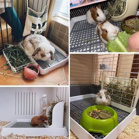 Bac à litière surdimensionné pour lapin/chat 57x45x7.8cm - Avec grille (1/4)