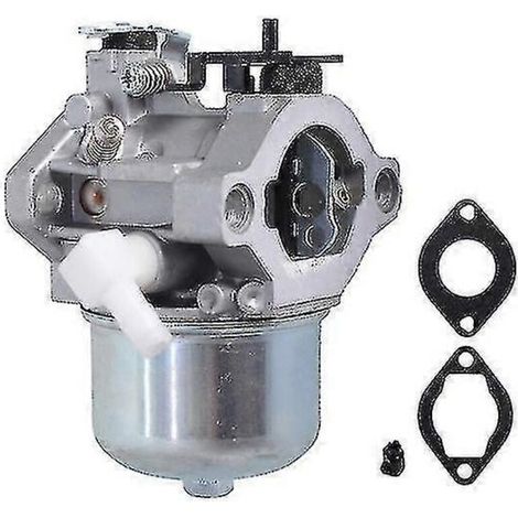 Carburateur de remplacement pour tracteur tondeuse Briggs & Stratton 699831 694941, carburateur 499158-AquaForge (1/4)