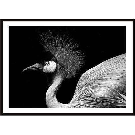 POSTER FOTOGRAFICO IN CORNICE 33x43 cm Uccello P2259 (1/3)