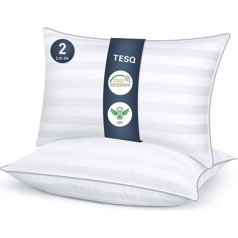 Oreiller 50x70 cm Lot de 2 Oreillers Confort Moelleux, Lavable (1/5)