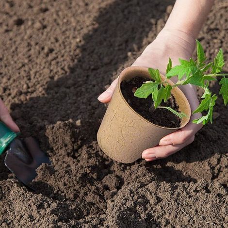 50 Pièces Pots Biodégradables, Petits Pots de Fibre, Pot Jardinage en Set, Godet Semis et Compostable pour Germer sans Plastique sans Tourbe (1/3)