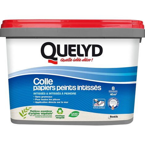 Quelyd Colle Papiers Peints Intissés en Pâte – Toutes Pièces - Application Directement Au Mur – Prête à l'Emploi – Sans Solvant – Seau de 5 kg