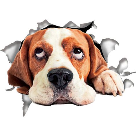 3D Dog Wall Stickers - Pack of 2 - Funny Decorative Stickers - Bourne Mountain Dog For Wall - Fridge (1/4)
