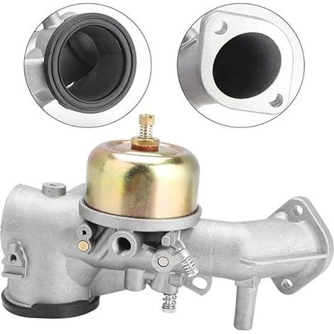 Carburateur (avec joint) pour Briggs & Stratton 491031 490499 491026 281707 N1HF (1/5)